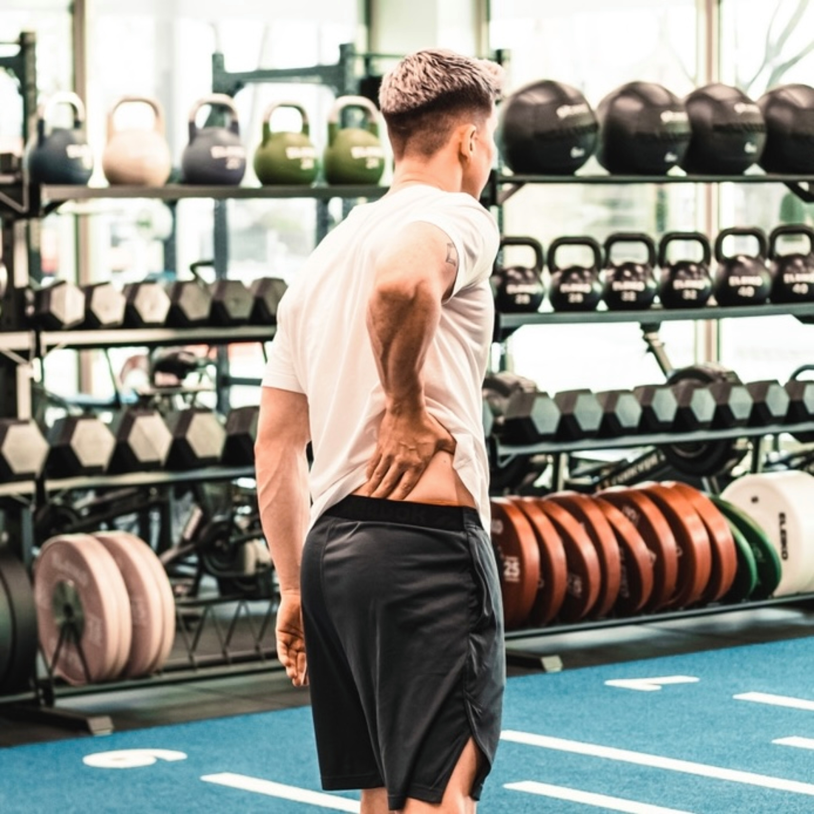 Physiotherapie Wirbelsaeule